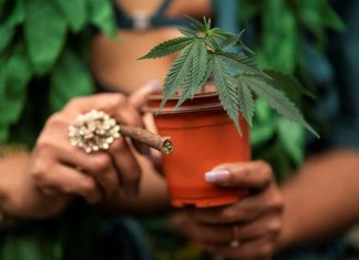 GLP-1 препарати впливають на ринок канабісу