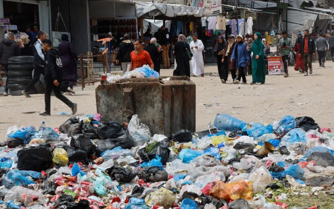 Щурі у таборах для біженців у Газі
