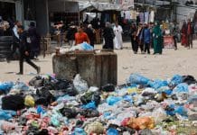 Щурі у таборах для біженців у Газі