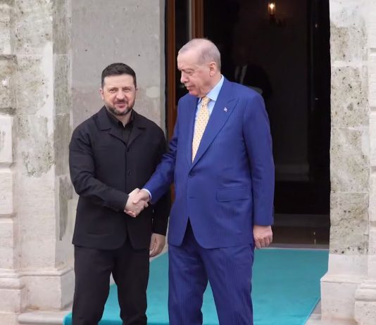 Зеленський та Ердоган у Стамбулі