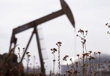 Трамп оголосив перемир'я, нафта дешевшає