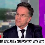 Світ став безпечнішим завдяки Трампу – Рютте