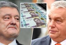 Порошенко отримав 52 млн грн від уряду Орбана Порошенко і Орбан фінансовий скандал