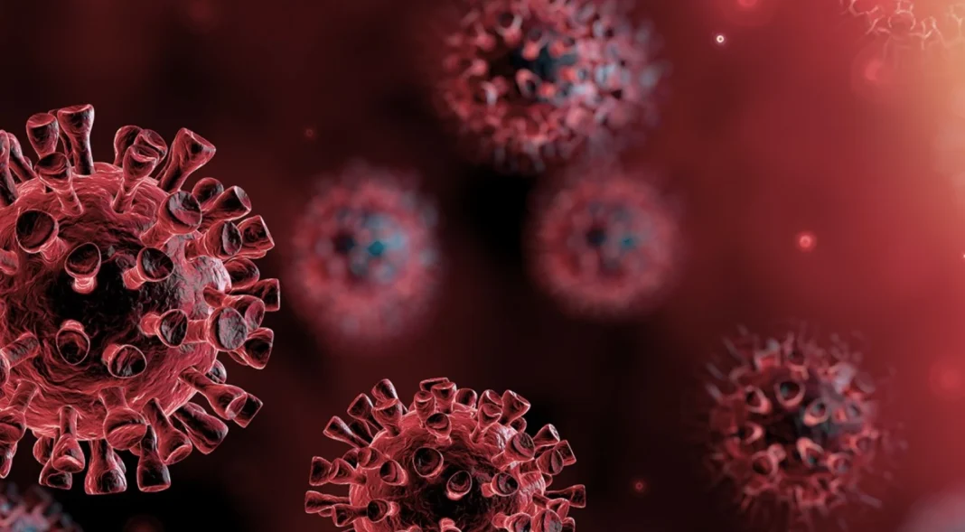 новий штам COVID-19 Цикада