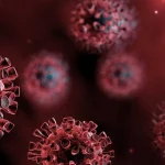 New COVID-19 strain «Cicada» detected in Ukraine»