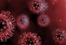 новий штам COVID-19 Цикада