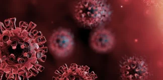 новий штам COVID-19 Цикада