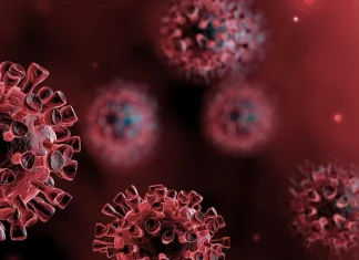 новий штам COVID-19 Цикада