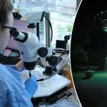 11 UFO-related scientists mysteriously disappear in the US