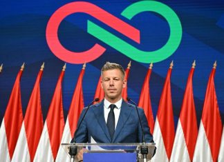 Петер Мадяр під час виступу