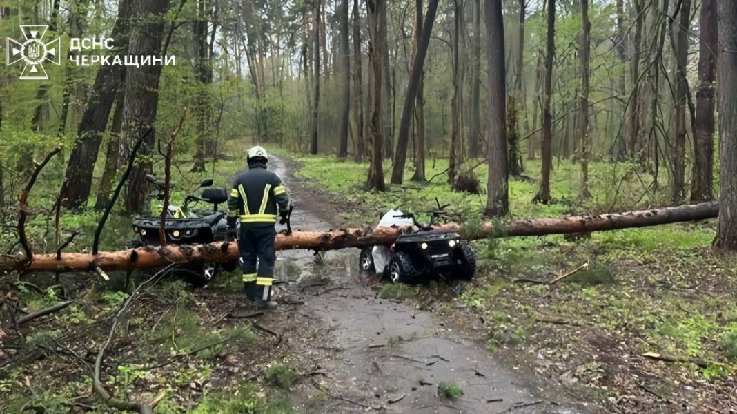 Bad weather in Ukraine: fallen trees