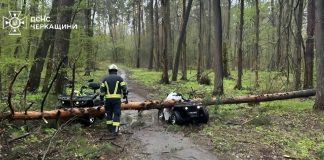 Bad weather in Ukraine: fallen trees
