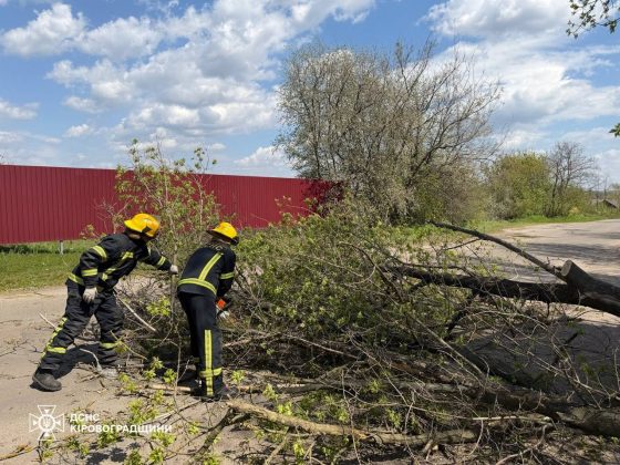 fallen trees due to bad weather