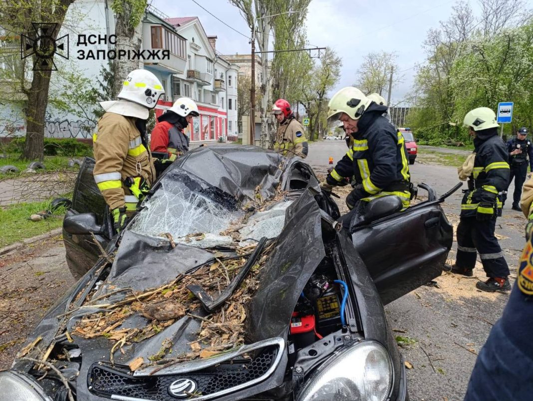 Дерево впало на авто у Запоріжжі