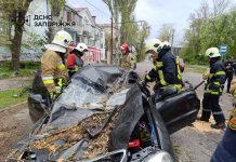 Дерево впало на авто у Запоріжжі
