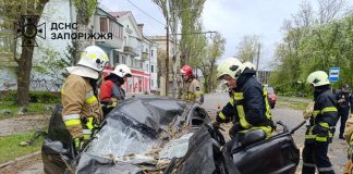 Дерево впало на авто у Запоріжжі