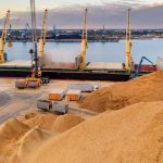 Israel accepts cargo with stolen Ukrainian grain