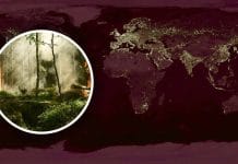 Спека у Бангкоку до +59 градусів