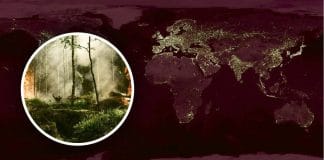 Спека у Бангкоку до +59 градусів