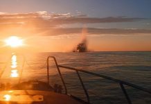 Судно під прапором Панами біля Одеси