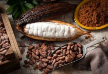 Світ ризикує залишитися без шоколаду Дефіцит какао і майбутнє шоколаду