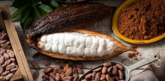 Світ ризикує залишитися без шоколаду Дефіцит какао і майбутнє шоколаду