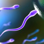 Scientists have named the months of peak male fertility