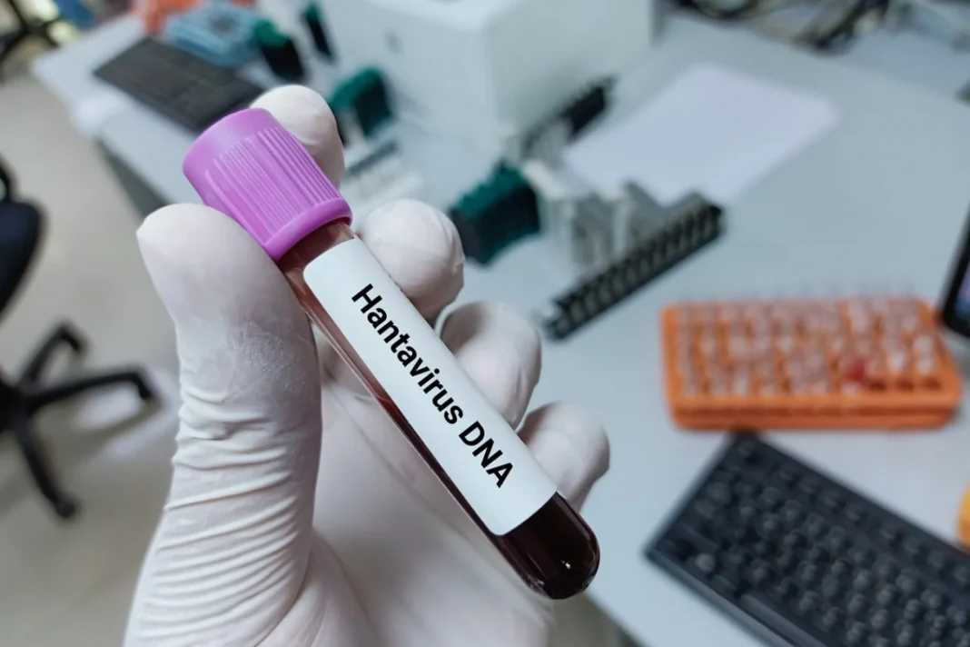 Hantavirus in Poland