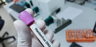 Hantavirus in Poland