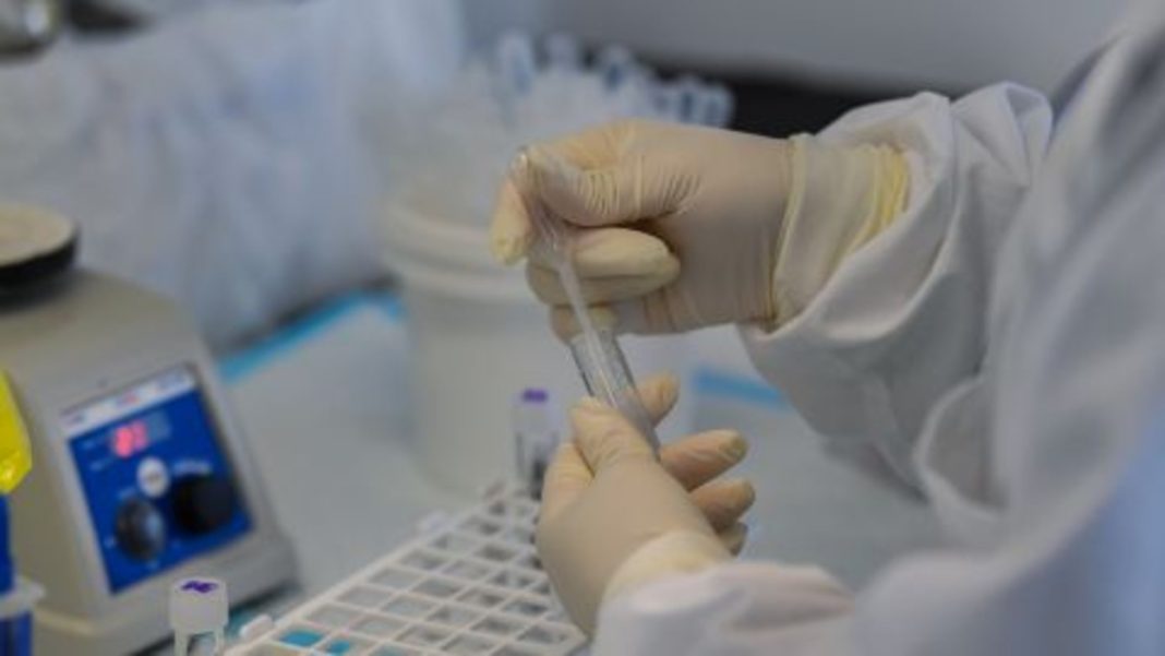 Hantavirus vaccine research stopped