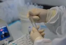 Розробку вакцини від хантавірусу зупинили через брак грошей Дослідження вакцини від хантавірусу зупинили