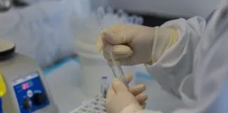 Дослідження вакцини від хантавірусу зупинили