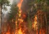 Radiation threat to Belarus due to Chernobyl smoke