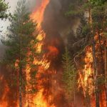 Radiation threat to Belarus due to Chernobyl smoke