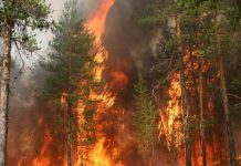 Радіаційна загроза для Білорусі через дим ЧАЕС