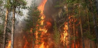 Radiation threat to Belarus due to Chernobyl smoke