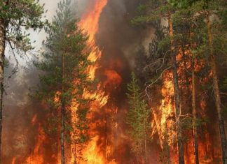 Radioactive smoke from the Chernobyl nuclear power plant covers Belarus Radiation threat to Belarus due to Chernobyl smoke
