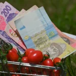 Rada proposes to raise the subsistence minimum to UAH 10,000