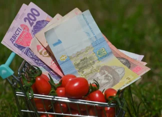 У Раді пропонують підвищити прожитковий мінімум до 10 тис. грн Рада планує підвищення прожиткового мінімуму в Україні.