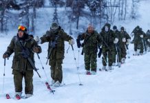 НАТО посилює Північ