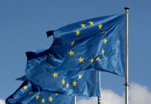 EU plans to limit veto power of new members EU flags against the sky