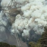 Fire in the Chernobyl forest, smoke over the forest