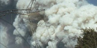 Fire in the Chernobyl forest, smoke over the forest