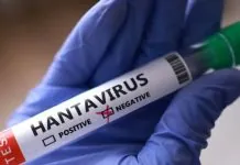 Підозра на хантавірус на віддаленому острові
