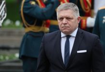 Фіцо про дзвінок Зеленського Путіну