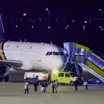 У Нідерландах ввели карантин через підозру на хантавірус
