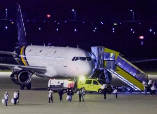 Planes with cruise passengers at the airport in the Netherlands