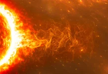 Active region AR4446 on the surface of the Sun