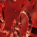Вірус Ебола вперше дістався Європи: у Берліні госпіталізували інфікованого