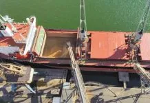 Росія продає вкрадене українське зерно